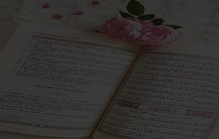 Professional Applied Arabic/English Translation Studies