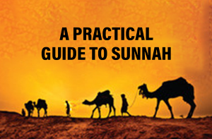 A Practical Guide to Sunnah of the Prophet Muhammad (SAW)