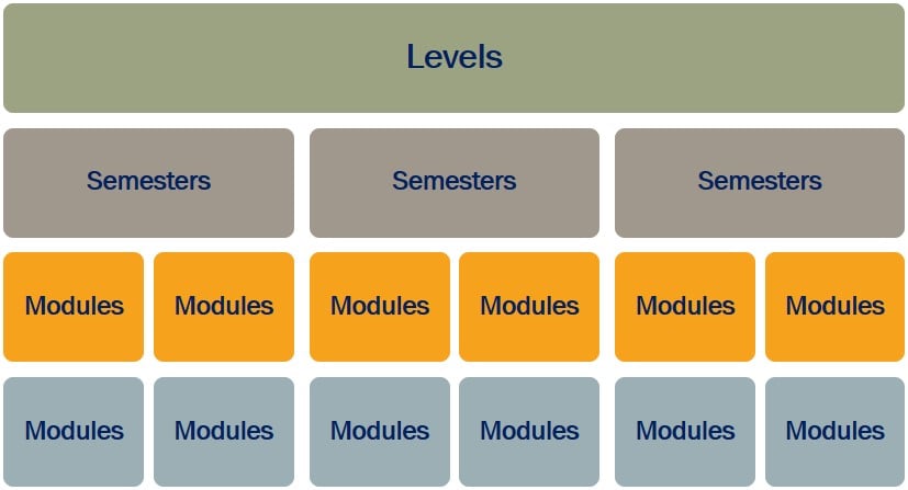 (A suggestive depiction of levels, semesters, and modules)