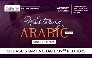 mastering arabic