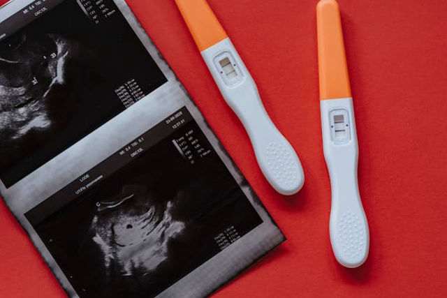 When does pregnancy begin