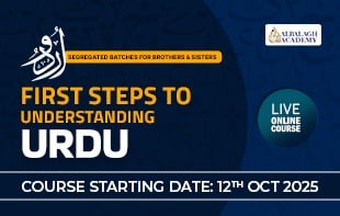 First Steps to Understanding Urdu