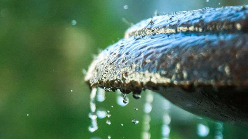 Echoes of Mercy: Tafsir of Surah Ar-Rahman