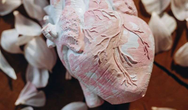 Organ Donation and Transplantation: 1slamic Perspective  (Self – Paced)