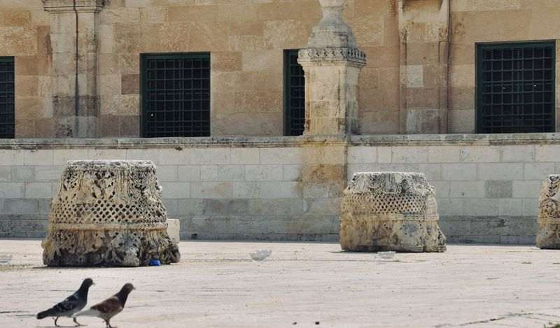 Salahuddin Ayyubi: The Conqueror of Jerusalem (Self – Paced)